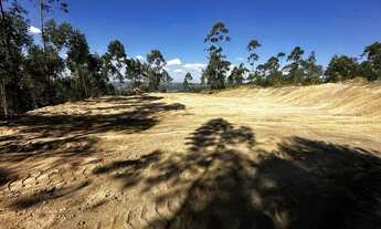 Imagem: Lotes para venda tem 1000 metros quadrados