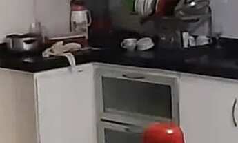 Imagem 2: Casa com área de lazer - Forquilha