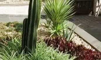 Imagem 7: Apartamento em Rua Paissandú - Vila Pires - Santo André/SP