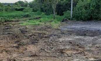 Imagem 3: Terreno 10.650m2 em Araquari