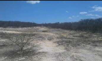 Imagem 2: Fazenda de caju / uruau