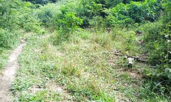 Imagem 4: Terra em ladainha ( 8 alqueires