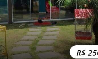 Imagem: Casa para venda com 2 quartos em Unamar