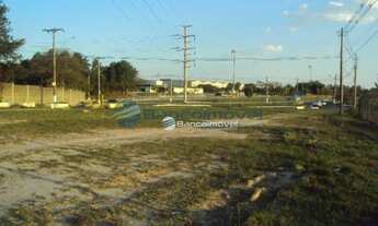 Imagem 5: Terreno Residencial para locação, Distrito Industrial, Campinas -