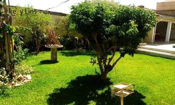 Imagem 5: Bela casa com escritura 704 m² piscina churrasqueira 03 dormitórios jardim árvores frutífe