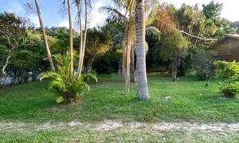 Imagem 4: Terreno/Sítio com 42.000 m² - Ratones, Florianópolis/SC