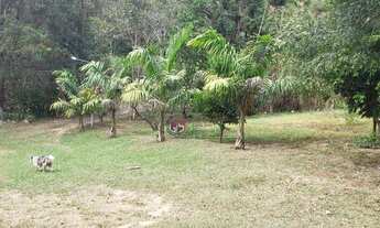Imagem 7: VENDO SITIO PORTEIRA FECHADA DE 12.65 ALQ. EM REDENÇÃO DA SERRA!!