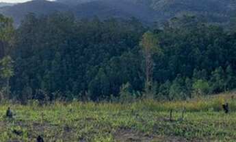 Imagem 2: Lote/Terreno para venda com 1000 metros quadrados com 1 quarto em Centro - Mairiporã - SP