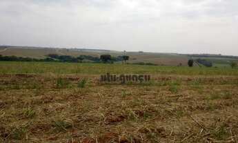 Imagem 6: Fazenda à venda, 1101100 m² por R$ 12.000.000,00 - Avecuia do Alto - Porto Feliz/SP