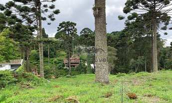 Imagem 2: Ótima oportunidade de investimento!!! Excelente lote de terreno com declive suave localiza