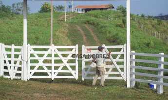 Imagem 1: Fazenda à venda, 3530000 m² por R$ 1.235.500,00 - Zona Rural - Centro do Guilherme/MA