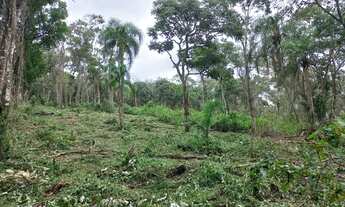 Imagem 3: 7 Lotes em Ibiúna de 500m² 1OCA80J