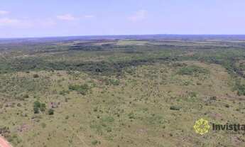 Imagem 4: Fazenda à venda, 4.000 Hectares em Goianorte/TO
