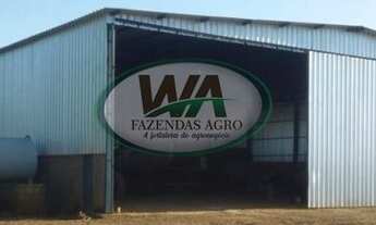 Imagem 6: Fazenda plantando soja há 7 anos no Tocantins