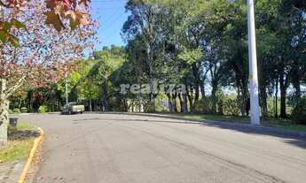 Imagem 3: TERRENO EM CONDOMÍNIO DE GRAMADO LAGOS DE GRAMADO