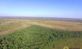 Imagem 4: Fazenda à venda, 3.458 Hectares em Pium/TO