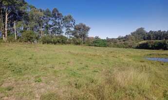 Imagem 6: Terreno de 3.000m² com água corrente