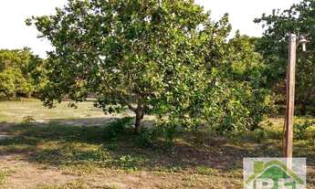 Imagem 7: TERRENO PROX A DEMERVAL LOBÃO