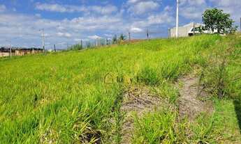 Imagem 6: Maravilhoso terreno, ideal para formação de chácara a venda na cidade de Pinhalzinho/SP. V