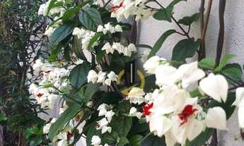 Imagem 7: Casa em condomínio fechado, com 170 m², 3 dormitórios 1 suíte, 2 vagas no Sacomã