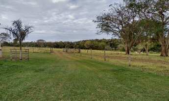 Imagem 7: Fazenda 10 alqueires dupla aptidão no Prata MG