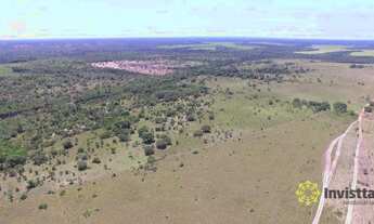 Imagem 3: Fazenda à venda, 4.000 Hectares em Goianorte/TO