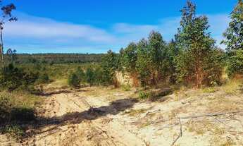 Imagem 5: Chácara à venda, próximo das praias e ótimo para plantio!<br>localizada em Passo de