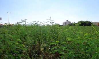 Imagem 6: Terreno Comercial à venda, Vila Gatti, Itu -