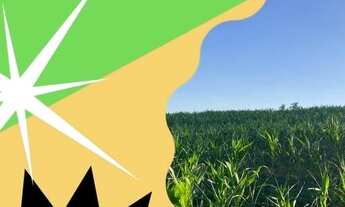 Imagem: Invista o seu condomínio sem padrão de