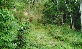 Imagem 2: 28 alqueires ...Ana Dias..Itariri SP