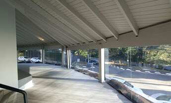 Imagem 6: Salão - Cambuí - Campinas