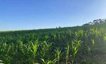 Imagem 3: Lotes Com Acesso Fácil ao Centro de Ibiúna SP