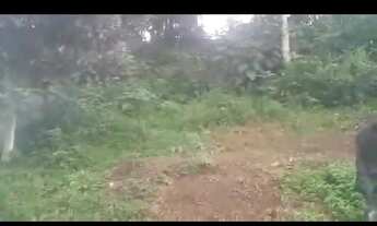 Imagem: Vendoooo 10 mil pra ir logo!!!