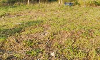 Imagem 2: Terrenos em condominio - Mairiporã - vendo parcelado lotes 1.000m²