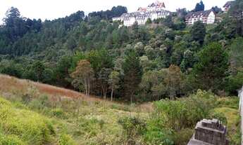 Imagem 3: Terreno em declive no Alto do Capivari