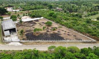 Imagem 4: MINI GRANJA PARA EMPRESAS OU MORAR