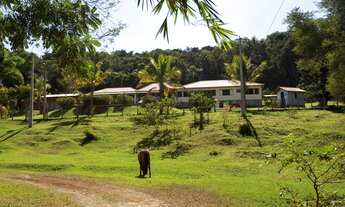 Imagem 3: BRUMADINHO - Sítio - Serra Da Moeda - Topo Do Mundo
