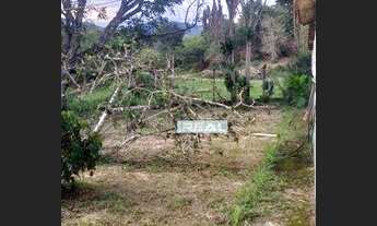 Imagem 7: Chácara com 2 dormitórios à venda, 19960 m² por R$ 250.000,00 - Zona Rural - Senador José