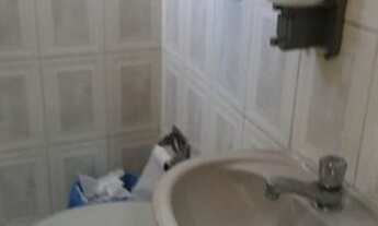 Imagem 5: Excelente Sala /Escritório