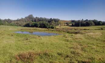 Imagem 7: Terreno de 3.000m² com água corrente