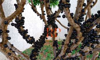 Imagem 7: Casa com 4 dormitórios à venda, 490 m² por R$ 1.950.000,00 - Centro - Itupeva/SP