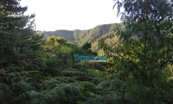 Imagem 4: Chácara à venda, 605000 m² por R$ 500.000 - Zona Rural - Itaperuçu/PR