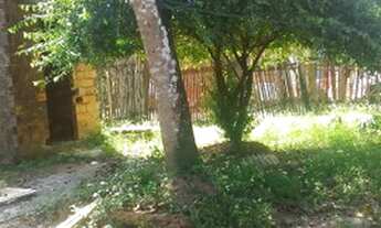 Imagem 4: Casa valor 35 mil