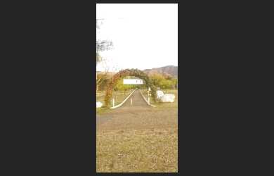 Imagem 7: IGARAPé - Chácara - Vivendas Santa Mônica