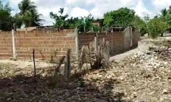 Imagem: Vendo, troco ou arrendo sítio em lagoa