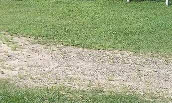 Imagem 4: Terreno à venda, 450 m² por R$ 550.000,00 - Encantada - Garopaba/SC