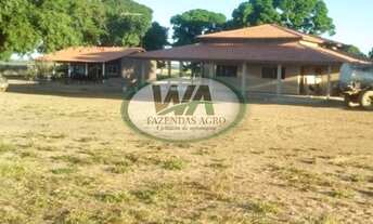 Imagem 2: Fazenda plantando soja há 7 anos no Tocantins