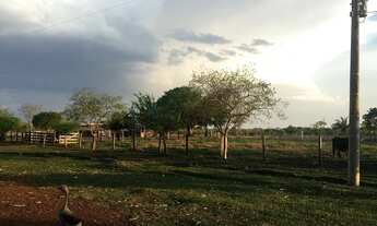 Imagem 6: Faz. 175 hc Rosario Oeste