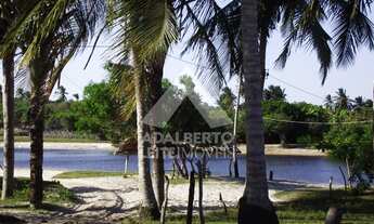 Imagem 5: Casa à venda 103.00 m², SANTO AMARO - MA