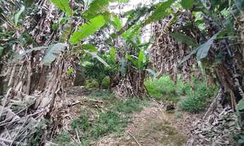 Imagem 3: Terreno à venda, 1320 m² por R$ 270.000,00 - Jardim São Gonçalo - Mairiporã/SP